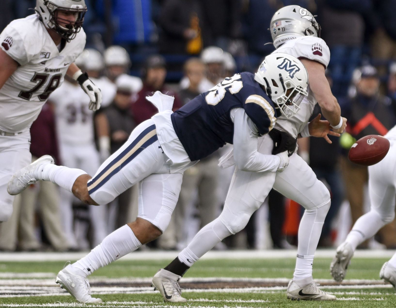 Cat Griz 2019